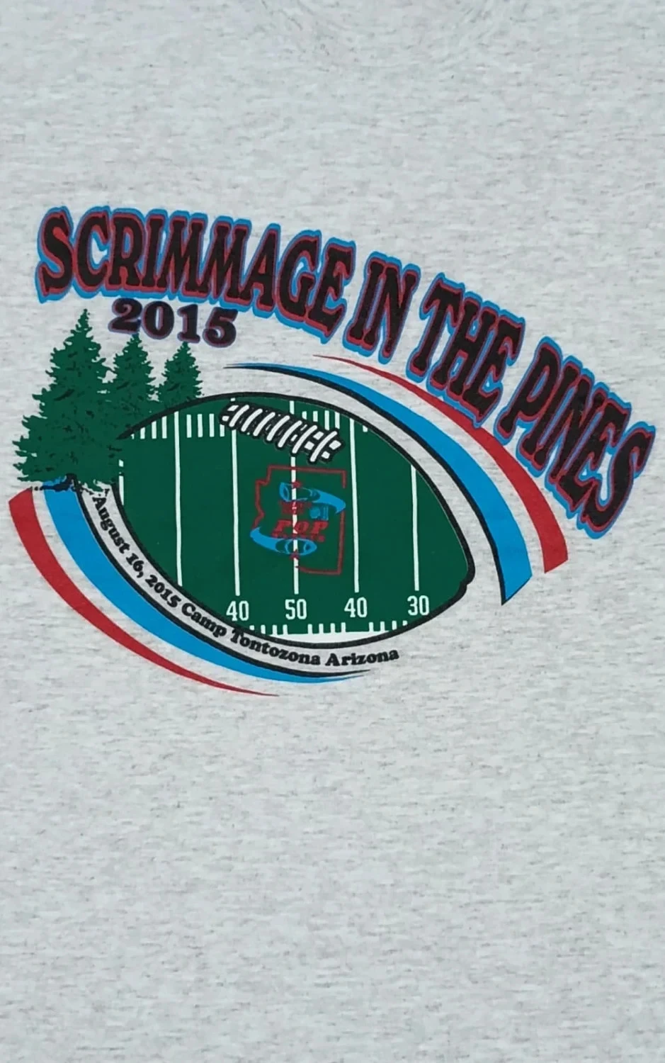 Camiseta Gildan Scrimmage In The Pines 2015 Futebol EUA cinza Tamanho M – photo 3